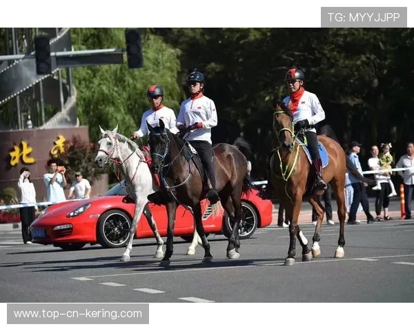 西班牙马术科研团队研发出新型马术训练设备，助力骑手提升技能。